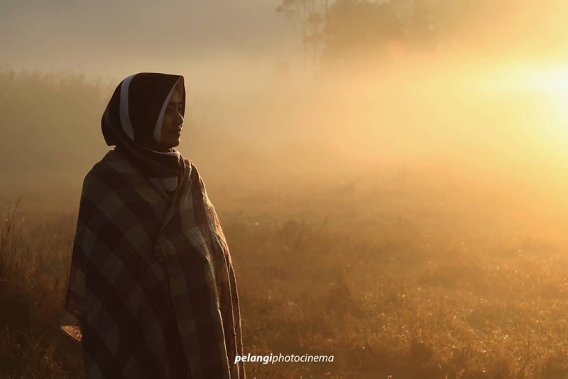 If : @annaschwarzkrone . .
#canon #nature #goldsunrise 